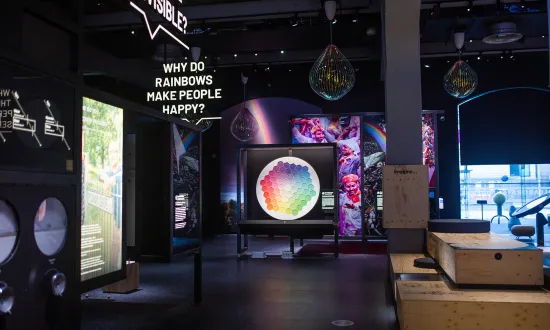 We The Curious Exhibits