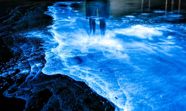 a person standing in shallow waves on the beach at night, the waves are glowing bright blue