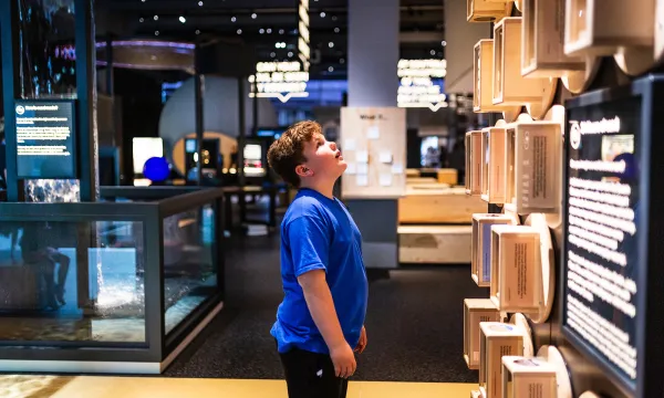 A young boy looking up at a wall of hourglasses