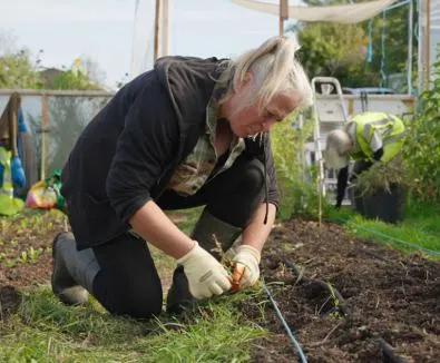 Woman gardening in vegetable patch