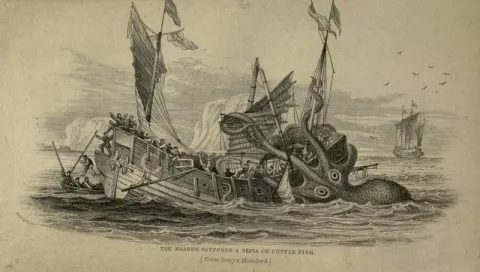 Old drawing of a large squid attacking a sailing ship