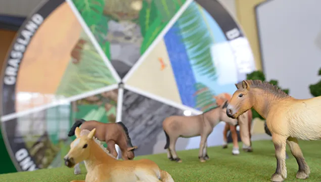 Some toy horses in the foreground, and a circle with different habitats on in the background