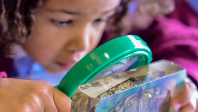 a child with a green magnifying glass is looking at a butterfly in resin