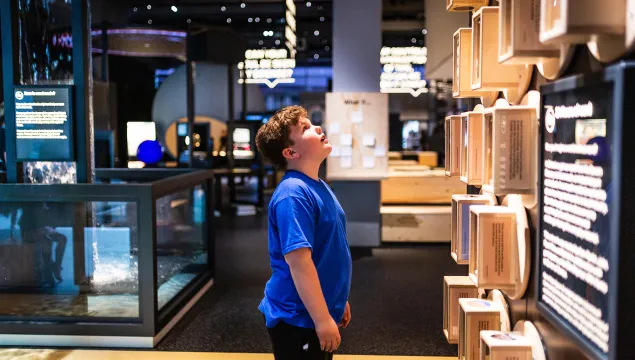A young boy looking up at a wall of hourglasses