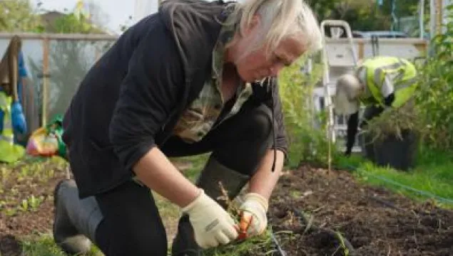 Woman gardening in vegetable patch