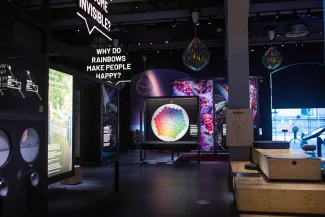 We The Curious Exhibits