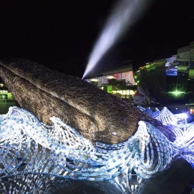 ’Bristol Whale’, from Bristol’s year as European Green Capital - 2015