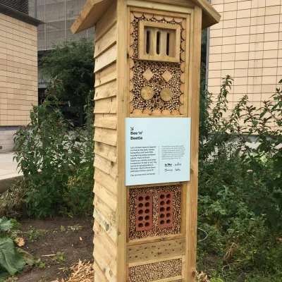 Pollinator hotel - one of five on Millennium Square 