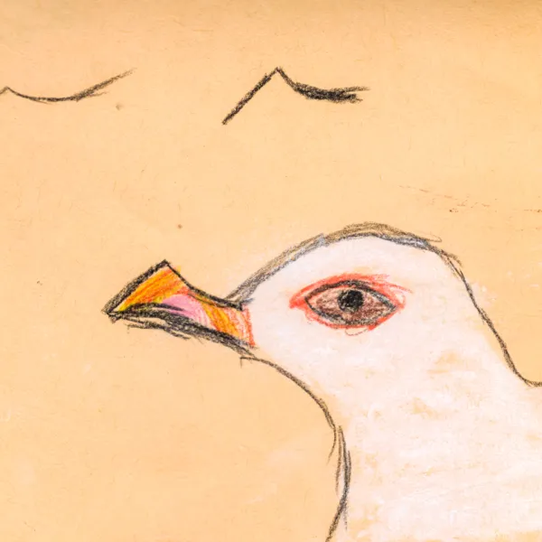 Child's drawing of a seagull's face with birds flying in the background.