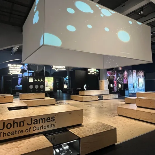 A space with wooden box-like seating and an elevated cube projector screen